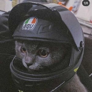 Meet your Posher, Wen